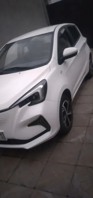 Changan Estar