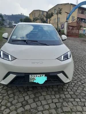 BYD Seagull 2025