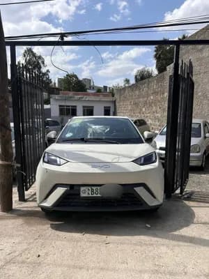 BYD Segul 2024 Electric