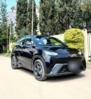 BYD Seagull Premium 2024