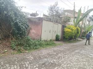 120 sqm Land for Sale Bata Goro
