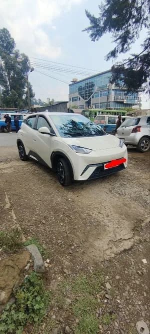 BYD Seagull 2025