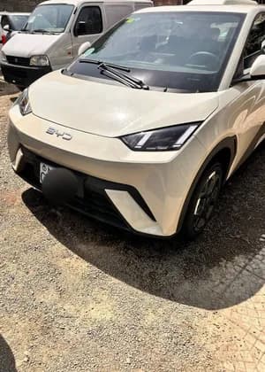 BYD Seagull 2025 Electric