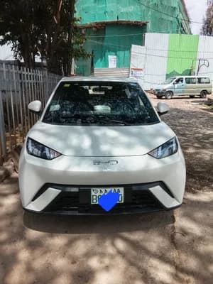 BYD Seagull 2025