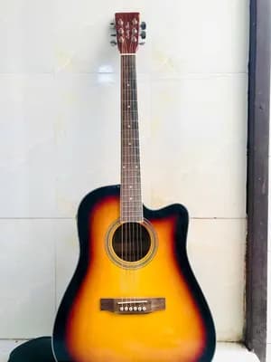 Luckystar Electric Acoustic Guitar