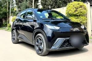BYD Seagull Premium 2024 Electric