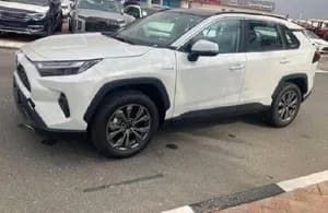 Toyota Rav4 Hybrid 2024 SUV