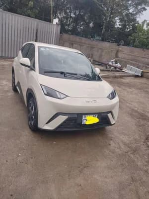 BYD Seagull 2025 405KM