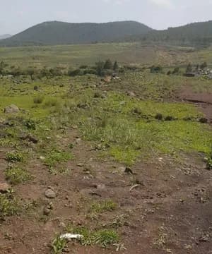 Factory Land 15000 sqm