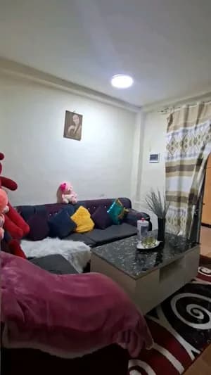 1 Bedroom Condo in Bole Arabsa