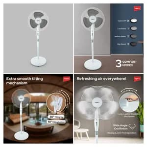Shape Trust Stand Fan