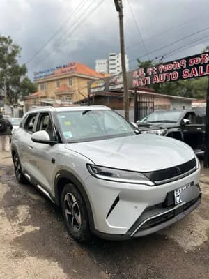 BYD Yuan Up Smart 2025