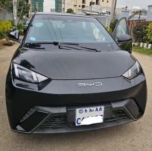 BYD Seagull 2024