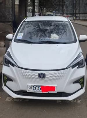 Changan Estar Electric Hatchback 2023