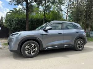 BYD Yuan Up 2024