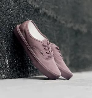 Vans Authentic Dark Brown Unisex Shoes