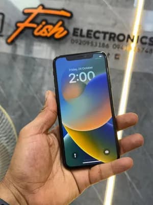 iPhone X
