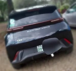BYD Seagull 2024