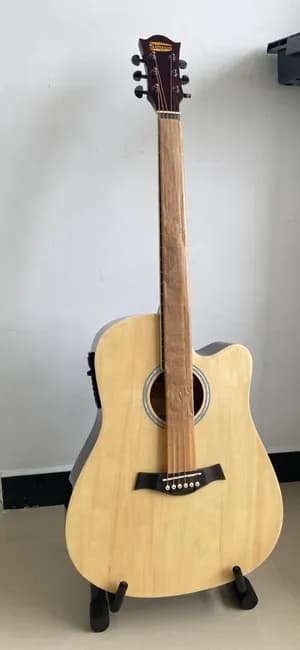 Siltron Semi Acoustic Guitar