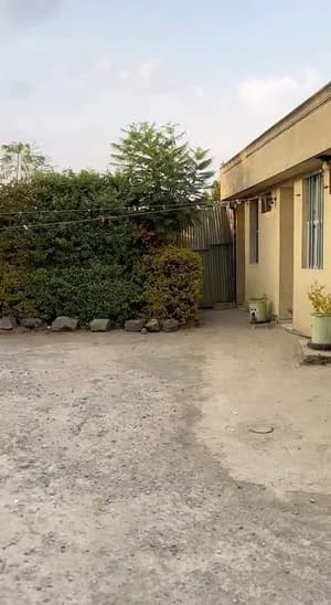 14-Room Income Pension in Hana Mariam