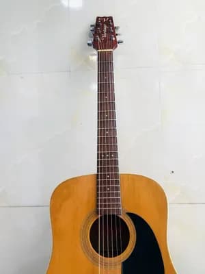 Vantage Acoustic Guitar