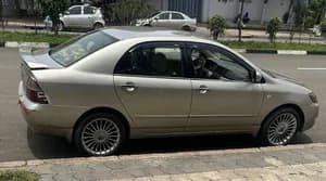 Corolla M2005