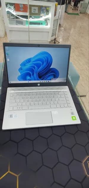 HP Pavilion i7 10th Gen Laptop