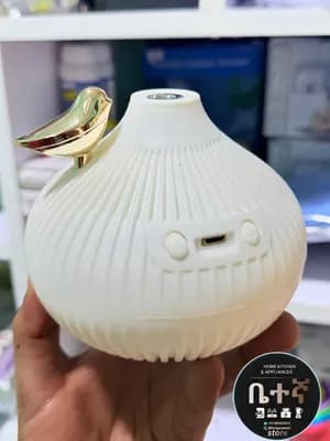 Onion Shape Humidifier 300ml