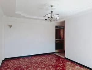 1 Bedroom Condominium in Yeka Abado