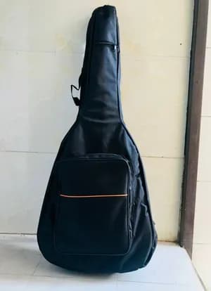 Acoustic Guitar Bag