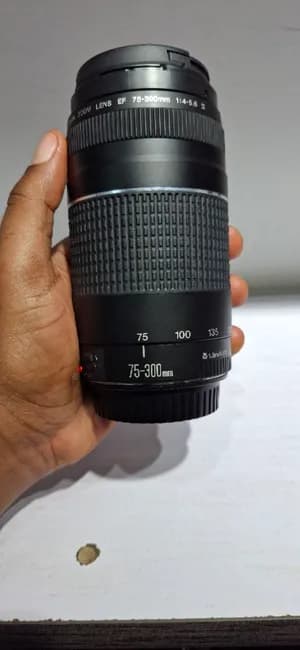 Canon EF 75-300mm Lens