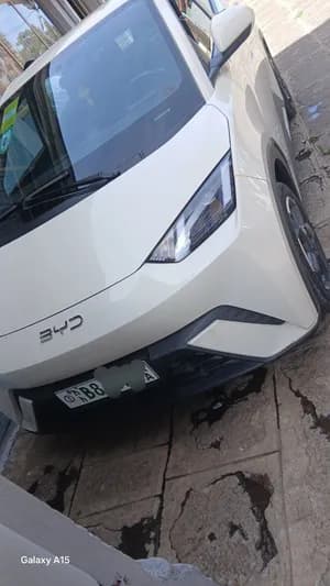 BYD Seagull Premium Electric 2024