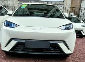 BYD Seagul Flying 2025 Electric