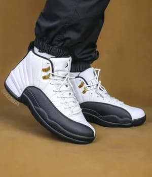 air Jordan 12 retro
