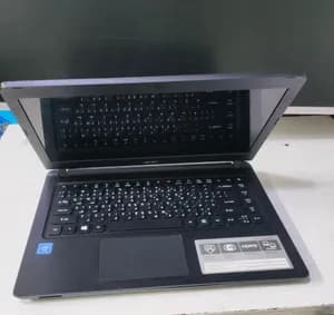 Acer