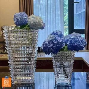 2 in 1 Glass Flower Vase Set