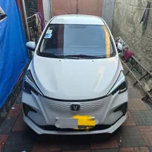 Changan BenBen E-star 2023 55KW