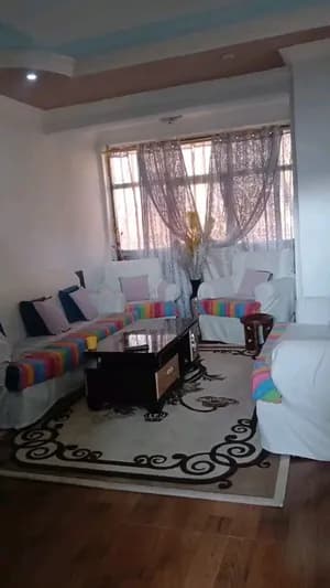 2 Bedroom Apartment in Bole Arabsa