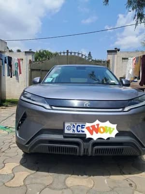 BYD Yuan Up 2024 Electric