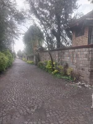600 Sqm Old Villa in Qera
