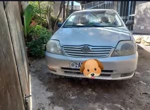 Toyota Corolla 2003 Manual