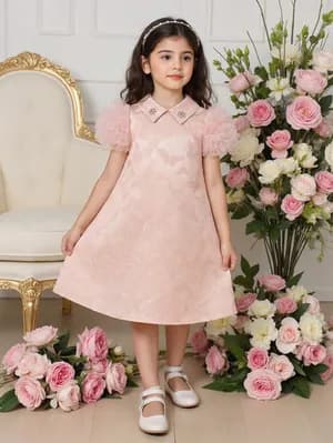Young girls puffy sleeve elegant dress