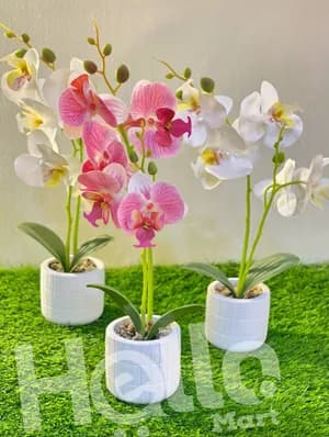 Decorative Artificial Orchid Flowers