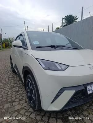 BYD Seagull 2024 Electric SUV