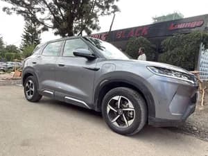 BYD Yuan Up 2024 401km