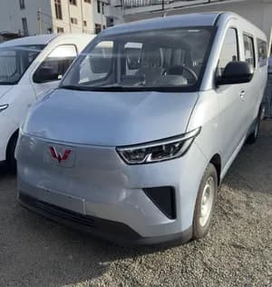 Wuling Yangguang EV 2026 14 Seat