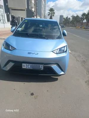 BYD Seagull 2025