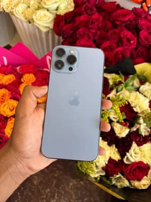 iPhone 13 Pro Max