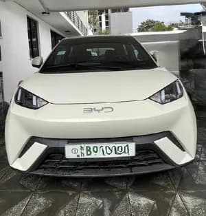 BYD Seagull 2024 Electric