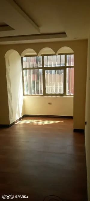 3 Bedroom 20/80 Condo Bole Arabsa